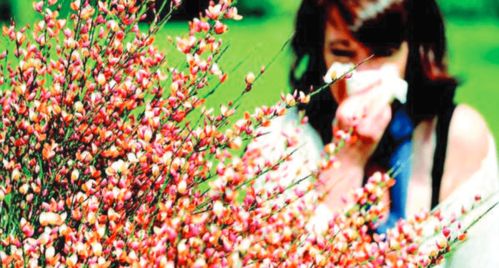 （三）食神伤官及四桃花促成多恋但难以稳固