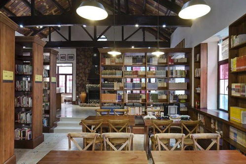 终极防坑指南：如何在茶叶体验馆活下来