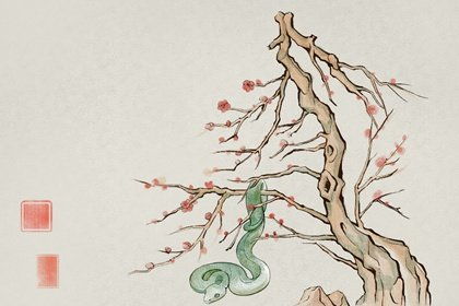 一、 整体运势概述