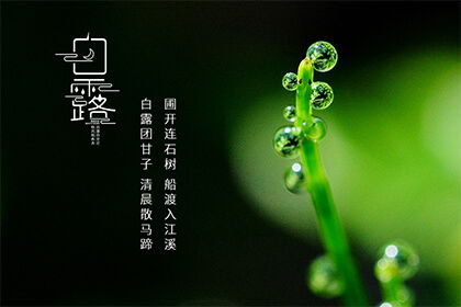 六、 祝福语汇总（原始文本保留并升华）