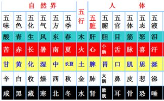 ② 四较大较长生地支辨识法