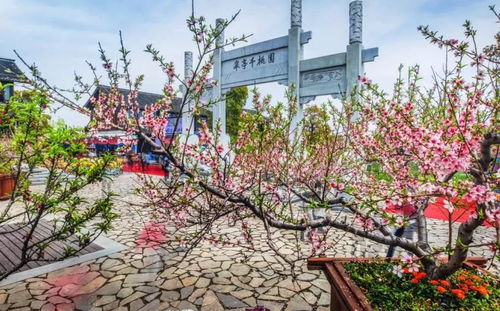 五大举办地详细点评， 去之前一定要堪