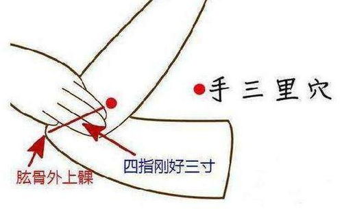 特定穴位的临床功效解析