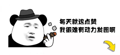 03 “搞笑担当”系列 (推荐给喜欢整活的情侣)