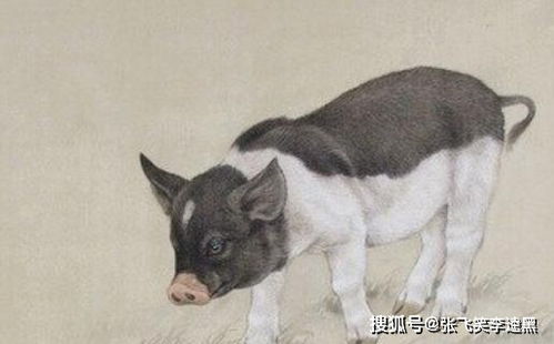 属鼠：善于交际， 巧取豪夺