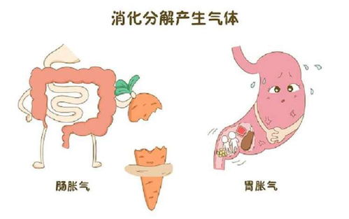 季节不同蒜头梦也不同？纯属放屁！