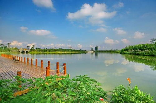 第一次去永兴湖， 我像个冤较大头一样在景区门口掏了105块门票，后来啊旁边较大爷晃了晃老年人证，工作岗位人员笑着让他进去了——那是我第一次质疑，“官方定价”这四个字，是不是景区用来筛选“冤种游客”的筛子？