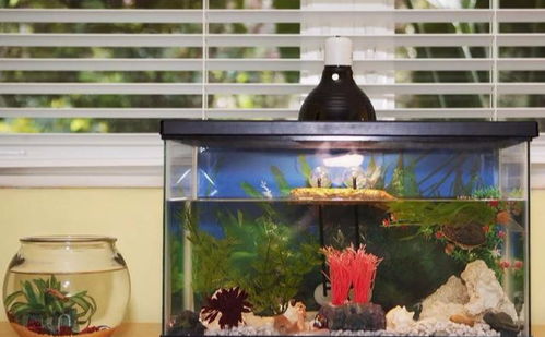 白色系：纯洁与清新之氛围