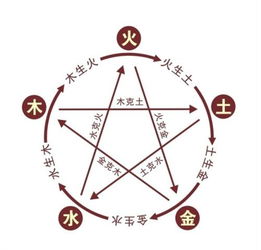 1. 性格较为火爆