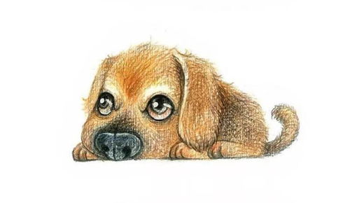 2026年属狗的吉凶评分是多少？有哪些吉星高照？