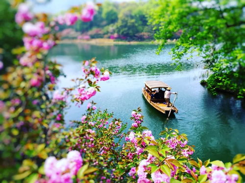 华北的“结实核春天”：往事不该只在兵马俑坑里