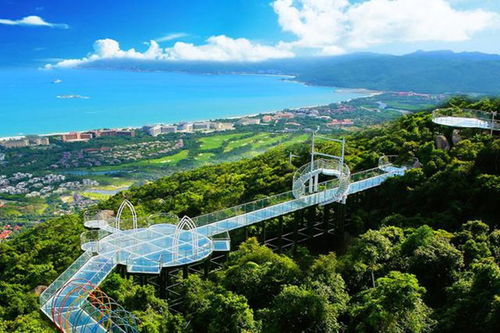 自由行：自由度高但需谨慎