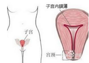 中医调理：顺应天然之道