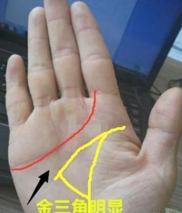 五、  子女缘分稀薄的成因分析与小指形态的暗示