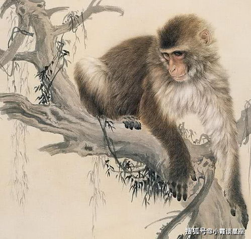 求三拜四打一生肖，这是什么生肖？