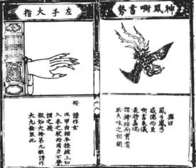 2. 古琴选择与准备