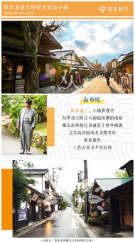 案例1：西递宏村——被游客“挤丢”的细节
