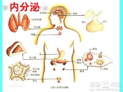 第二章：睡眠革命——从熬夜族到睡眠达人（附实用技巧）
