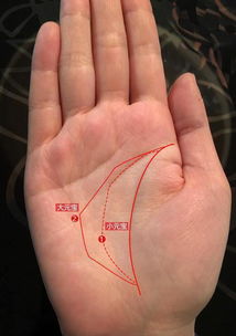 预示成就大事的主要特征