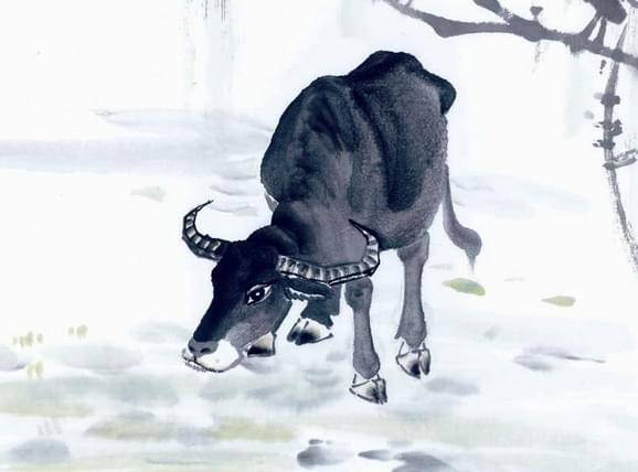 1985年属牛女性在2026年的运势和运程具体如何详细解析？