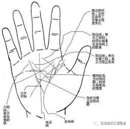 對命運綜合影響及實證探討