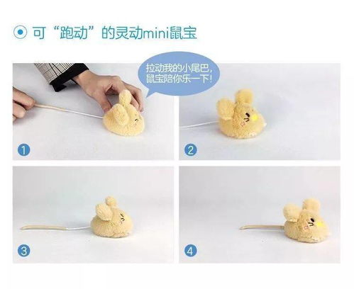 1. 生肖鼠之敏感性解析