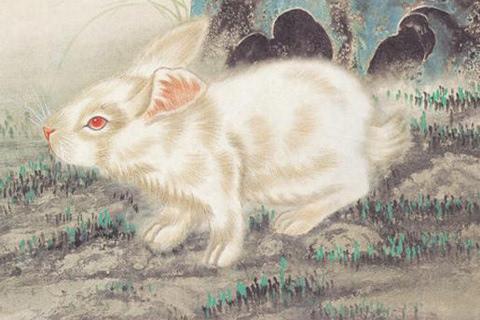 属兔鼠年全年运势和猪年鼠兔生肖运程具体是什么含义？