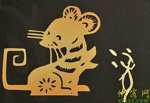 1972年属鼠的人五行属什么命，1972属鼠五行是什么含义？