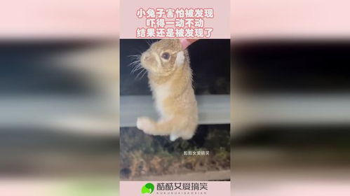 六、 文化底蕴寓言：传统方式观念的反思与当代意义
