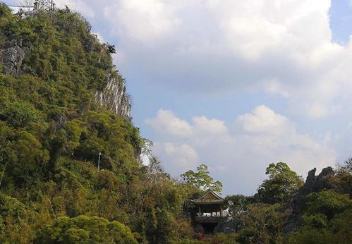 你有没有被“网红景点”坑过？一场旅行冲突的开头