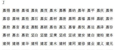 具体案例解析：从理论到实践