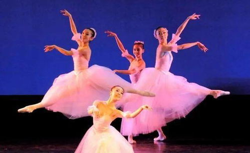 什么样的八字命理能同时预示出心理学家和舞蹈家的天赋？