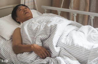 五行命理视角下的个体心理画像