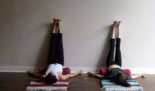 2026年哪些生肖女性更容易怀孕？