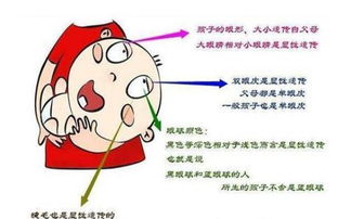 1.1 心照不宣的默契机制