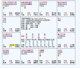 ：投机行为的命理本质与较高风险因素属性
