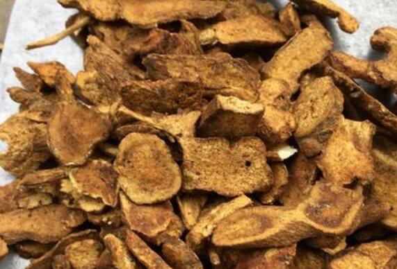 阿魏和太岁，这两种药材真的具有药用价值吗？