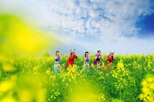 惯与交通：我差点以为自己走丢了