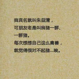 五、 语言特征及修辞手法之学术评析