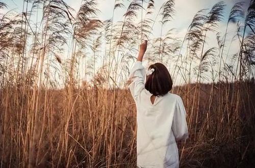 吃山芋=走狗屎运？我呸！