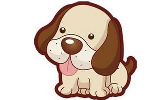 汪星人性格大揭秘！看完笑到狗带