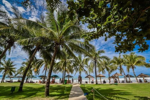 四、解锁三亚隐藏玩法！这些地方只有本地人才知道哦~嘘!