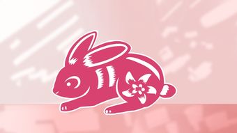 二、 十二生肖中的“美眉”