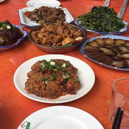 三、 农家乐与水果采摘——吃喝玩乐全套套餐