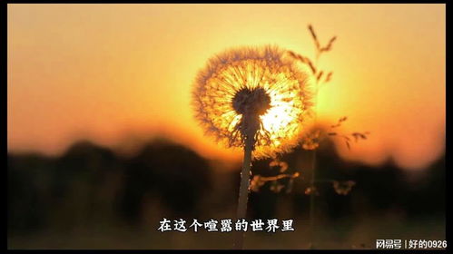 心理机制剖析（结合现代神经科学）