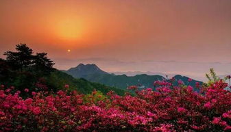 6. 黑宝山：蚊子太多了