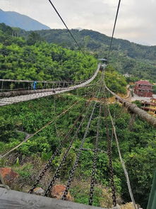 惯与那只叫“旺财”的狗