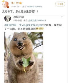 生肖属鼠：机敏活力之姿