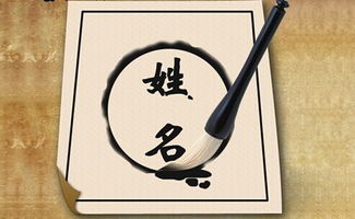 前言：名字，不仅仅是标签