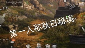 ：荒凉景象背后的深邃意蕴
